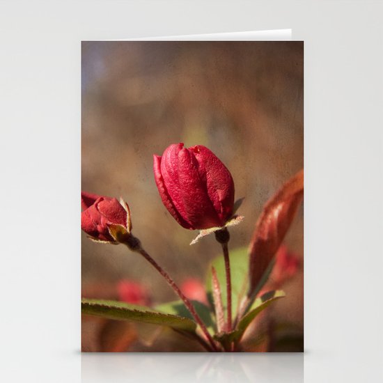 Early Spring Stationery Cards