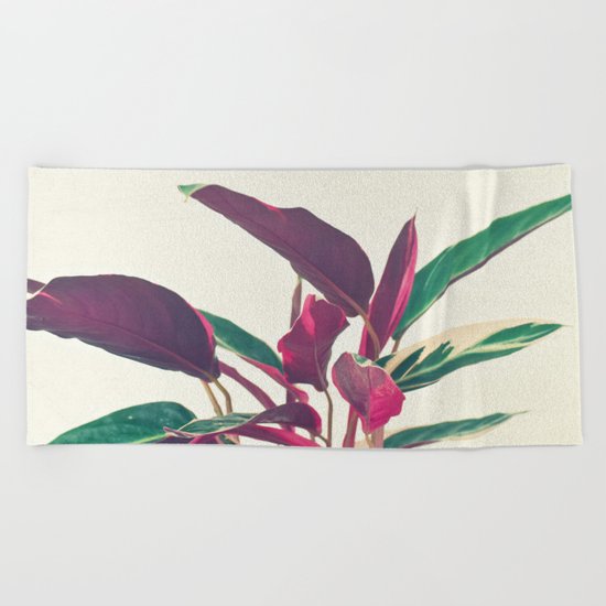 Prayer Plant Beach Towel