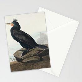 Double-crested Cormorant from Birds of America (1827) by John James Audubon  Stationery Card