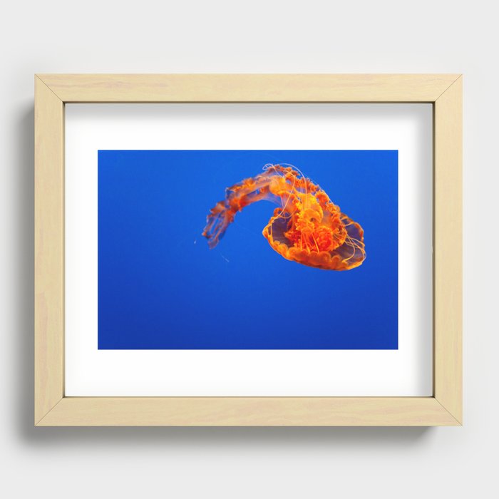 Jellyfish Recessed Framed Print