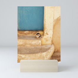 Moroccan Kitty, Blue Door, Essaouira, Photo Art Print Mini Art Print