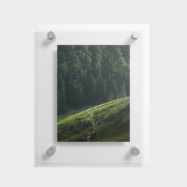 Sheep Trail in a Forest during a calm morning Floating Acrylic Print