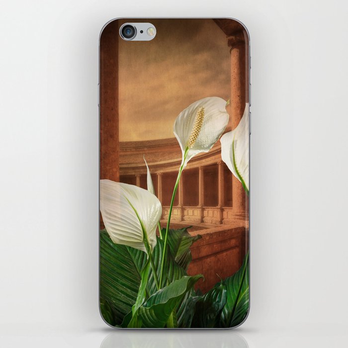 White spathiphyllum flower representing peace on an architectural background. iPhone Skin