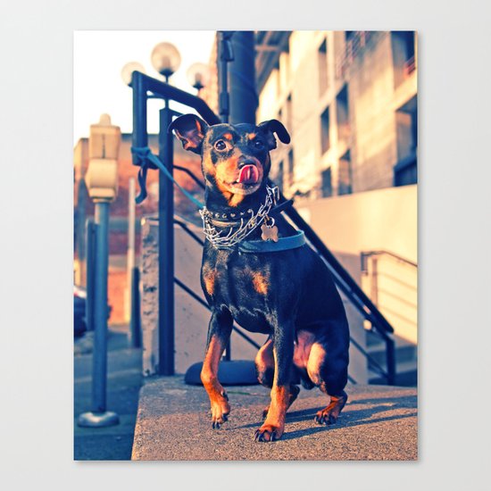 Little tough guy Canvas Print