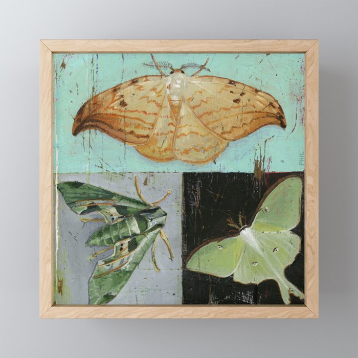 moths Framed Mini Art Print