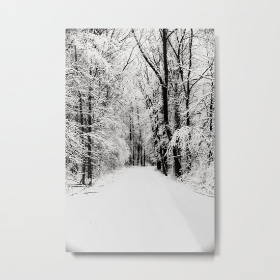 snowy woods Metal Print