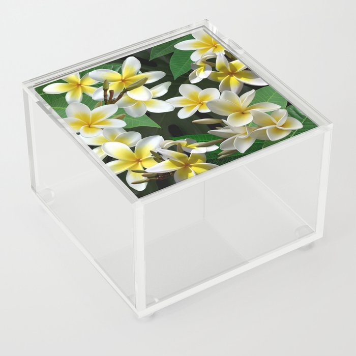 Plumeria Flowers Acrylic Box