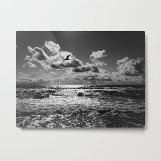 Seagull over sea Metal Print
