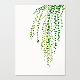 String of pearls #2 in green - ink painting Canvas Print