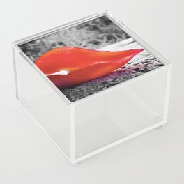 The Melancholy of Red Acrylic Box