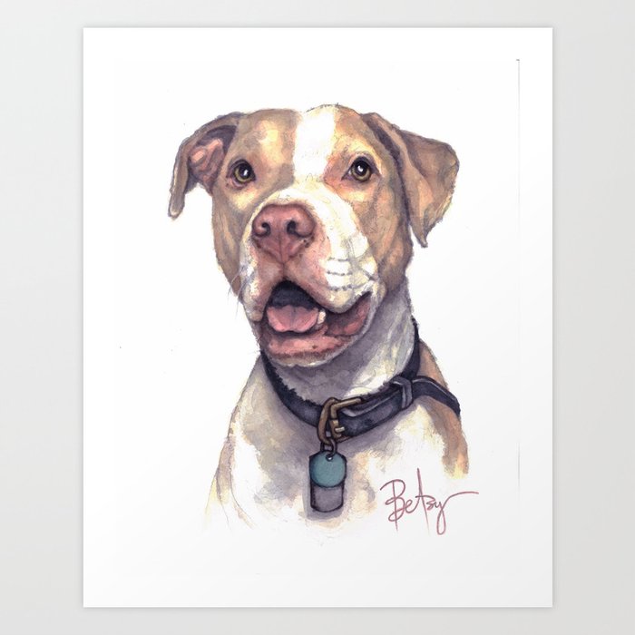 society6