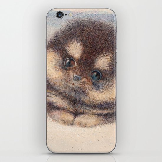 Pomeranian iPhone & iPod Skin