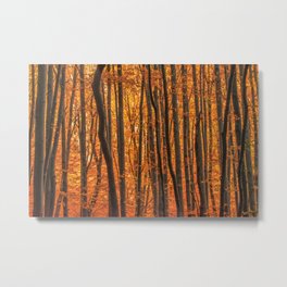 Straight forward Metal Print | Pattern, Photo, Yellow, Nature, Stem, Woodland, Color, Season, Bole, Brown 