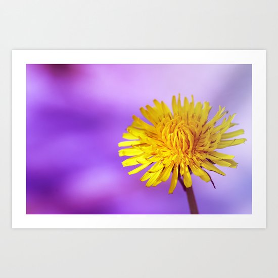 Dandelion Art Print