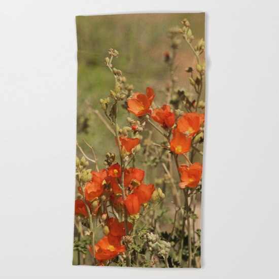 Desert Wildflower - 4 Beach Towel