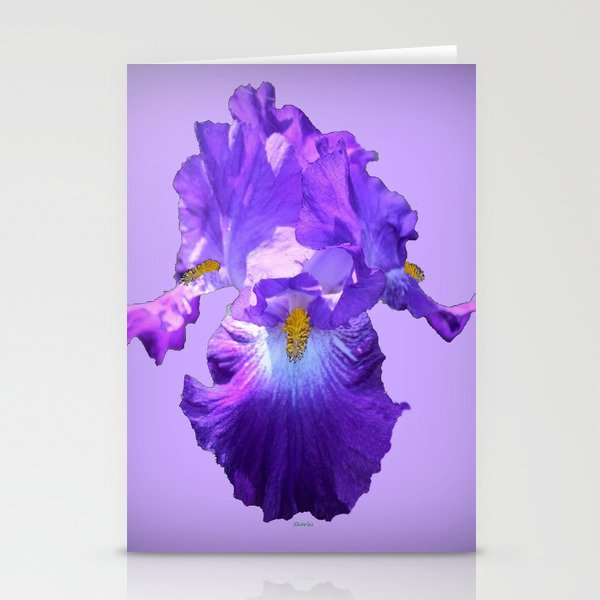 Decorative Lilac Bearded Iris Flower Stationery Cards