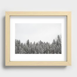 Algonquin Trees Recessed Framed Print