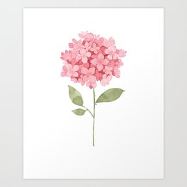 Pink hydrangea Art Print