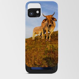 Mama and Baby Cows Stare iPhone Card Case
