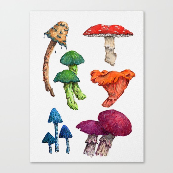 colorful watercolor mushrooms Canvas Print