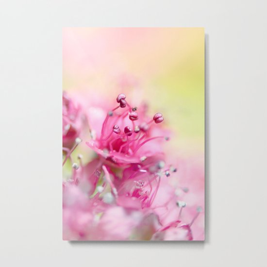 Pink Magic Metal Print