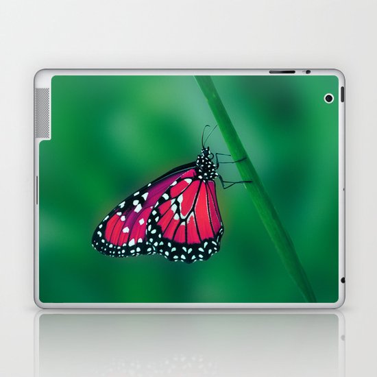 butterfly Laptop & iPad Skin