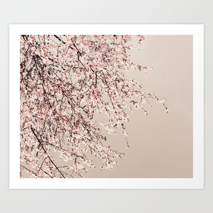 Flower photography - Spring Blossom Tree - Pretty Pink Floral Art Print