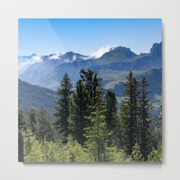 Switzerland Photography - Beautiful Landscape Covered In Forest Metal Print