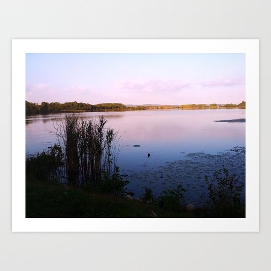 The Lake Art Print