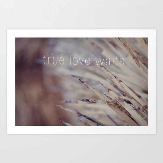 true love Art Print