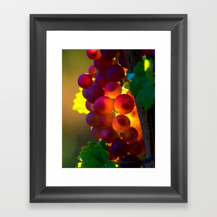 Provence Grapes Framed Art Print