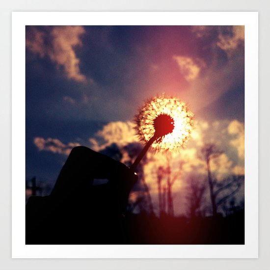 Dandelion in the Sun Art Print