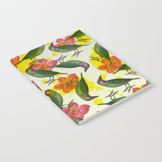 MUSAAN Notebook