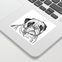 Cute Pug Dog Drawing, Black and White Line Drawing of a Pug Puppy Sticker