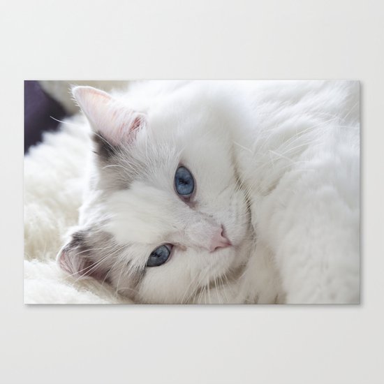 Bedroom eyes Canvas Print