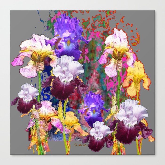 Decorative Spring Grey Iris Yellow & Pink Garden Canvas Print
