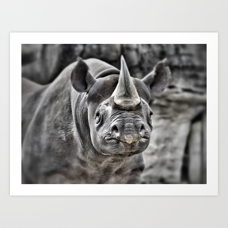 Rhino Rhino Art Print By Beverlymilam Society6