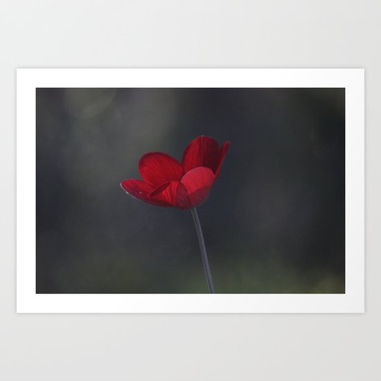 My Heart Art Print