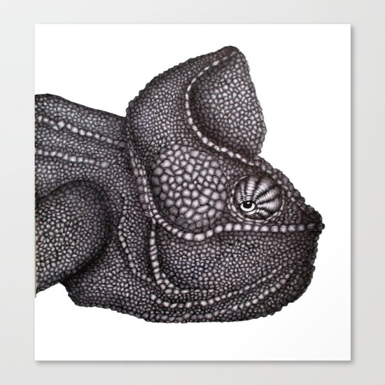 Carlos Canvas Print