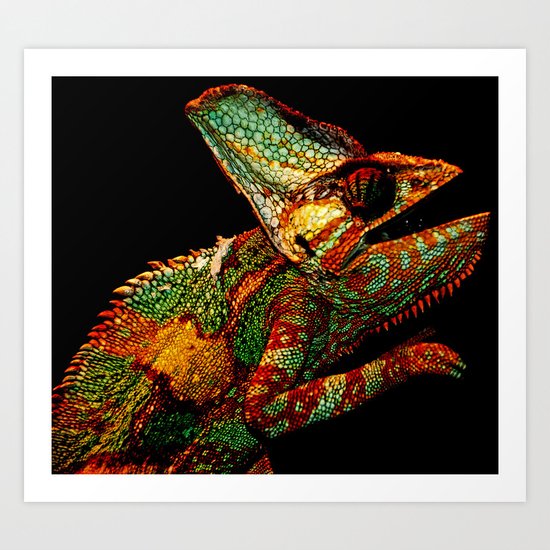 KARMA CHAMELEON Art Print
