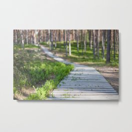 Walk in the forest Metal Print | Adventure, Pine, Sunlight, Trail, Untouched, Travel, Boardwalk, Tree, Hike, Road 
