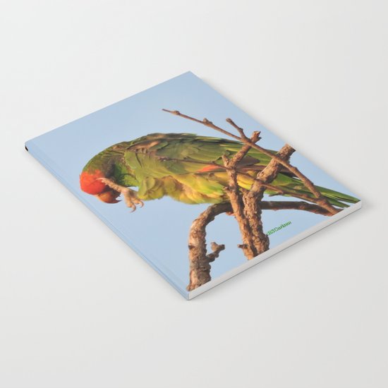 Now, Let Me Think Notebook