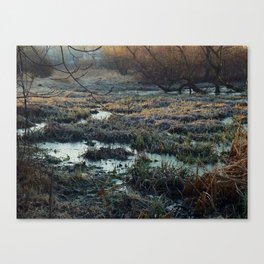 Is This What We've Seen All Along? Canvas Print