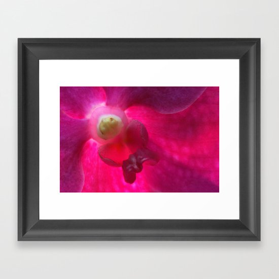 Pink Vanda 9839 Framed Art Print