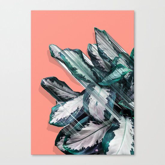 Skyward Plant Canvas Print