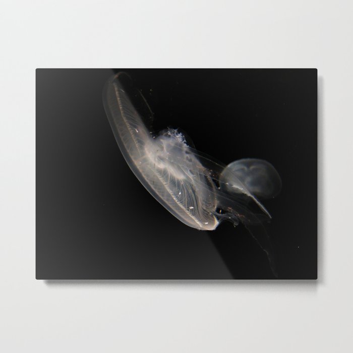 Jellyfish 6 Metal Print