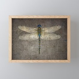 Dragonfly On Distressed Metallic Grey Background Framed Mini Art Print