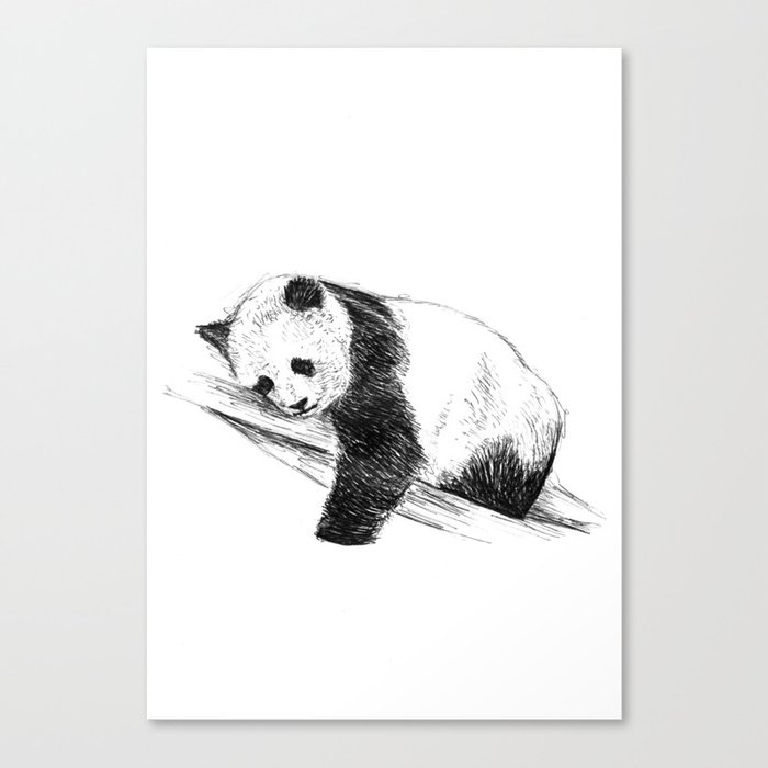 Sleepy Panda II Canvas Print
