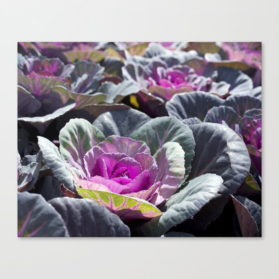 Garden Canvas Print