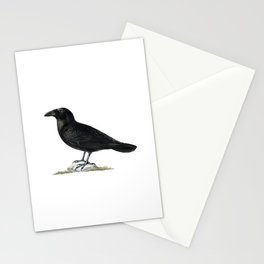 Vintage Common Raven Bird Illustration Stationery Card